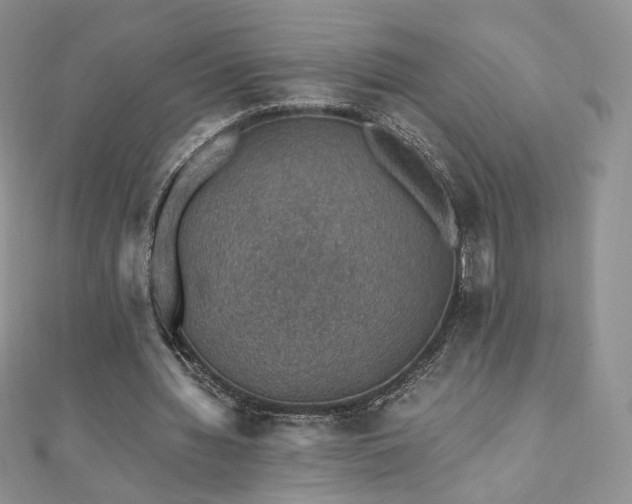 X0000110890436200906181249