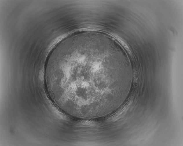 X0000110890437200906181249