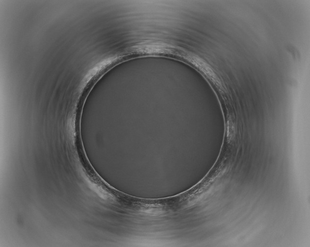 X0000110890438200906181249
