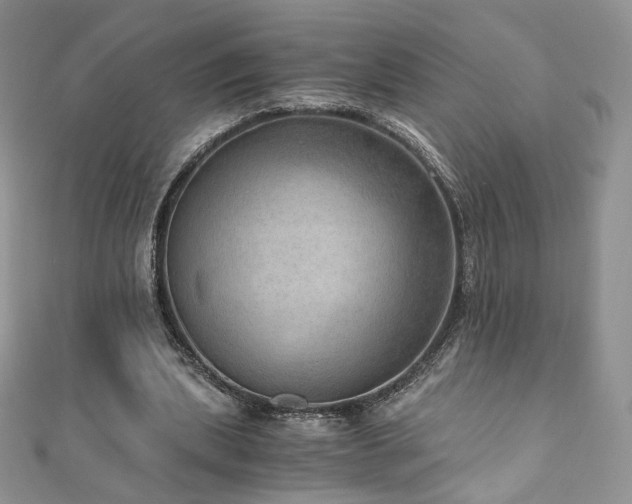X0000110890439200906181249