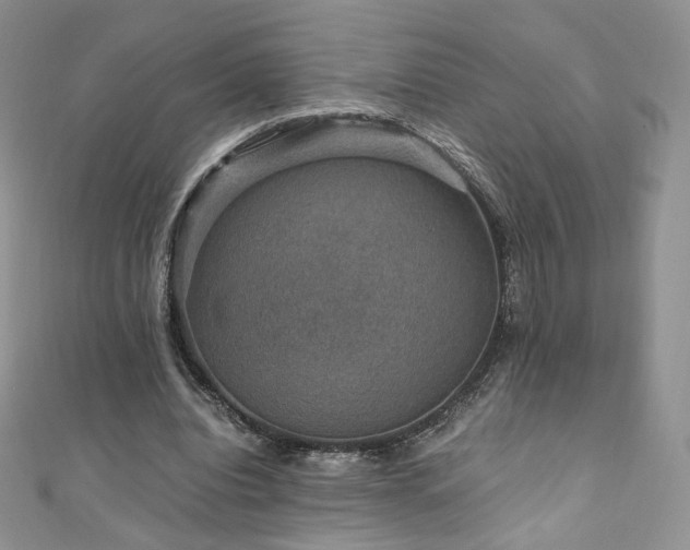 X0000110890440200906181249