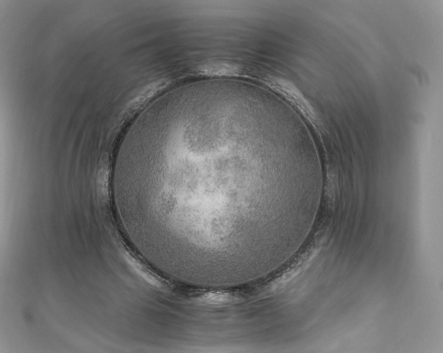 X0000110890441200906181249
