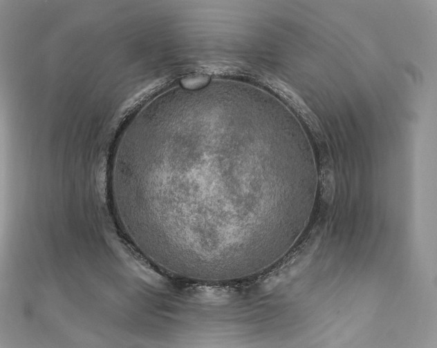 X0000110890442200906181249