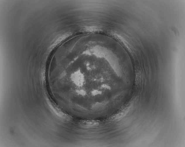 X0000110890443200906181249