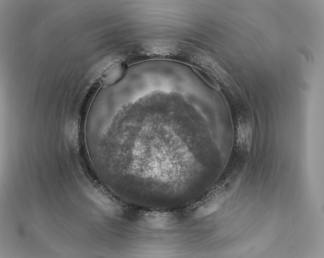X0000110890444200906181249