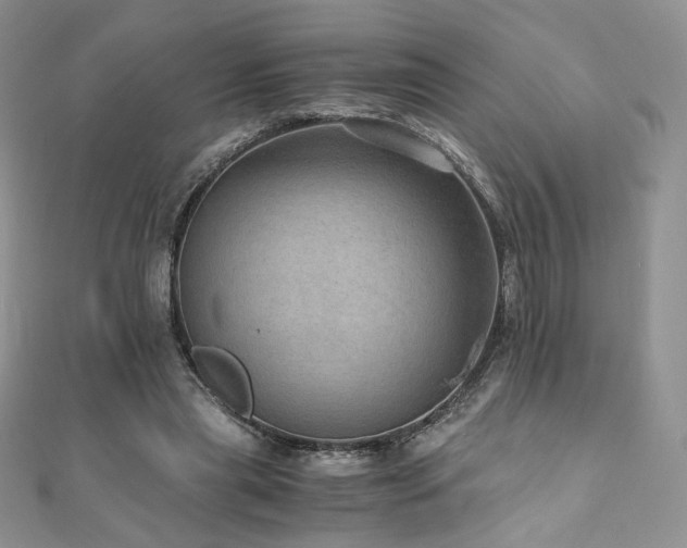 X0000110890445200906181249
