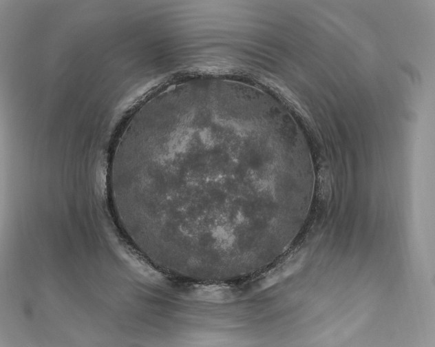 X0000110890446200906181249