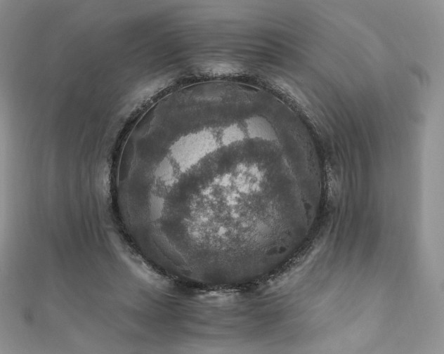 X0000110890447200906181249