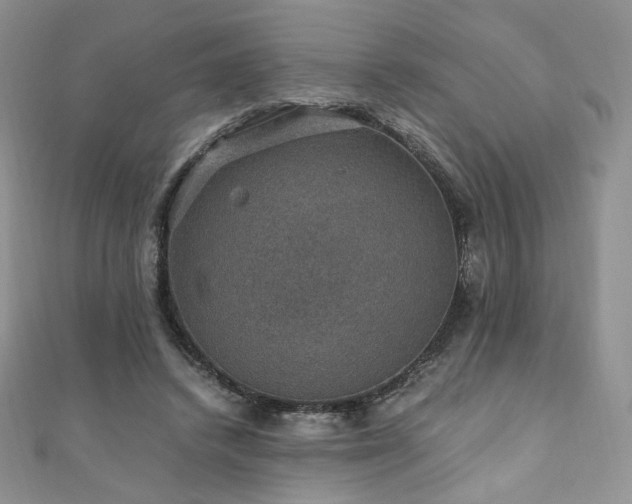 X0000110890448200906181249