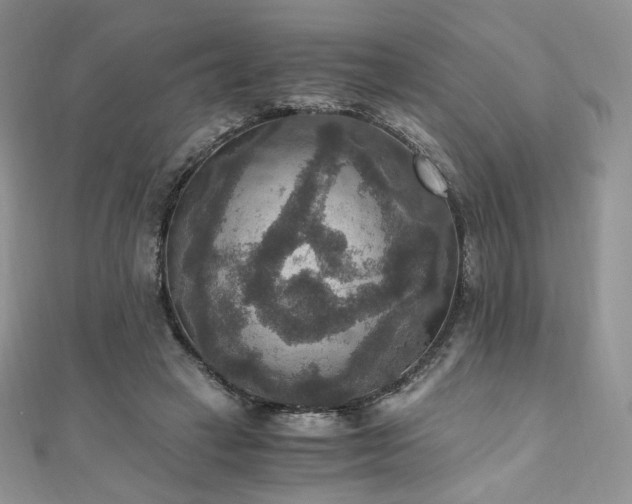 X0000110890449200906181249