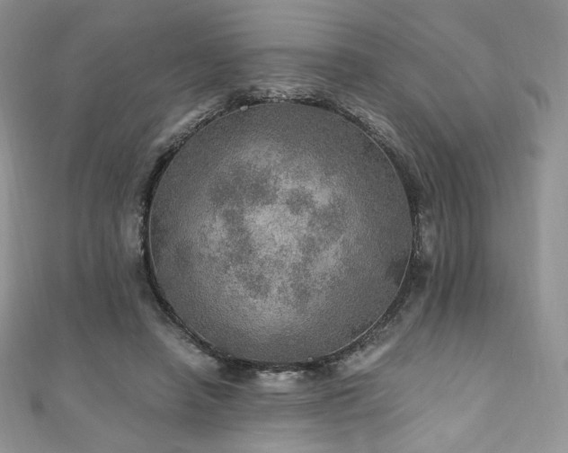 X0000110890450200906181249