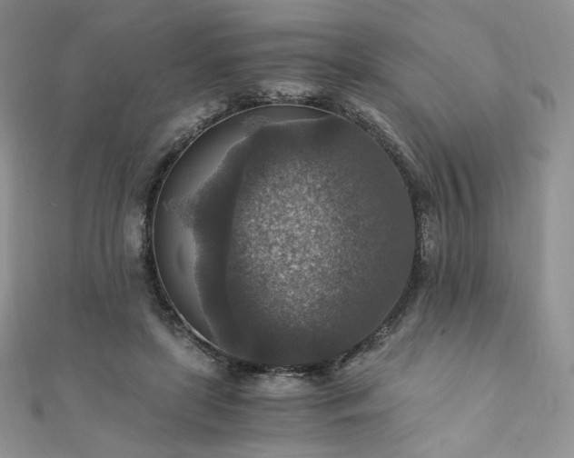 X0000110890451200906181249
