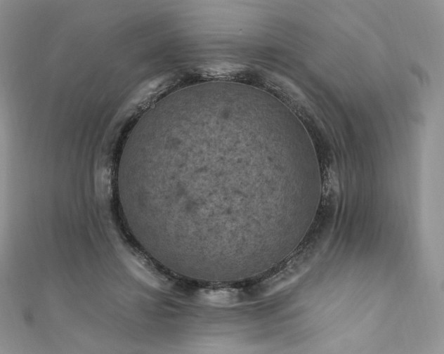 X0000110890452200906181249