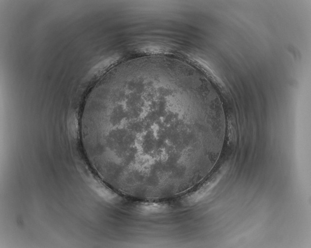 X0000110890453200906181249