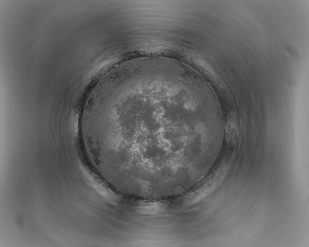 X0000110890454200906181249