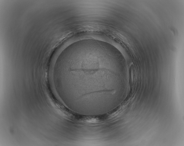 X0000110890456200906181249
