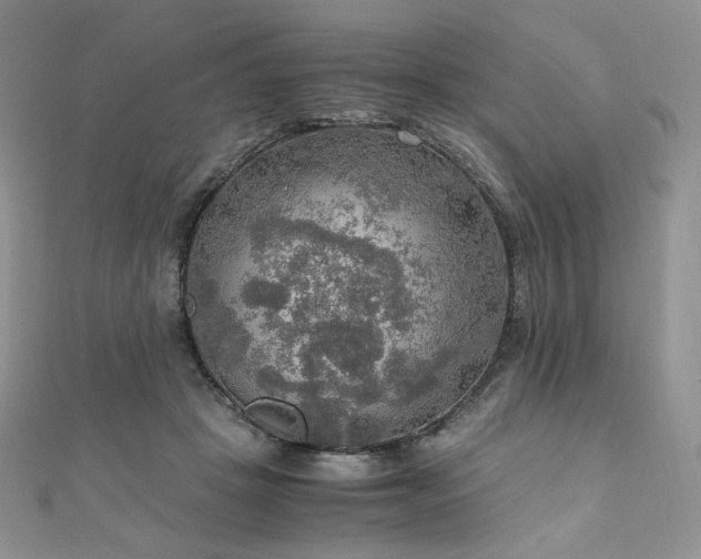 X0000110890457200906181249