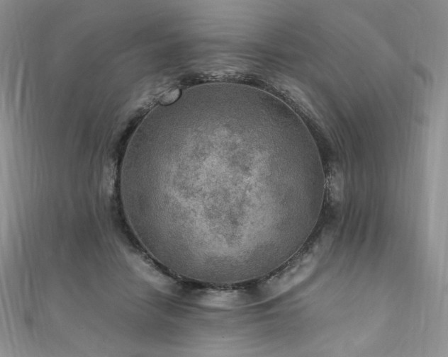 X0000110890458200906181249