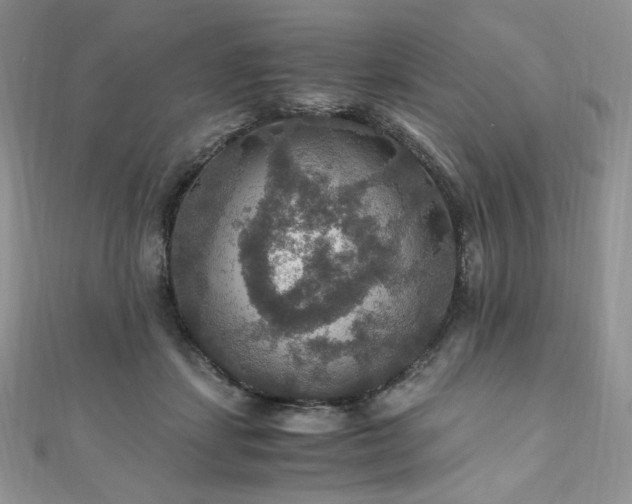 X0000110890459200906181249