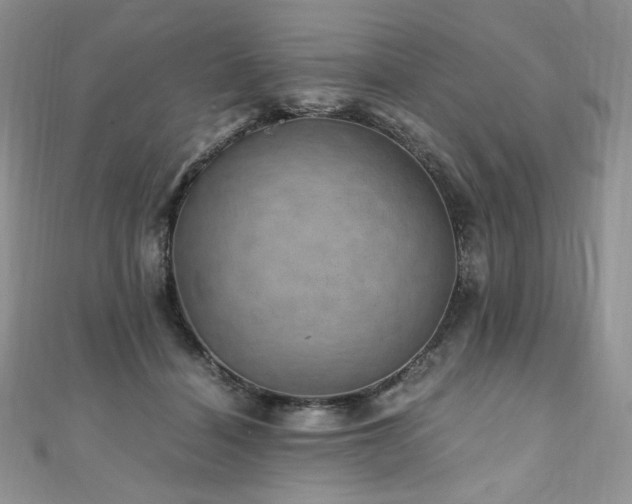 X0000110890460200906181249