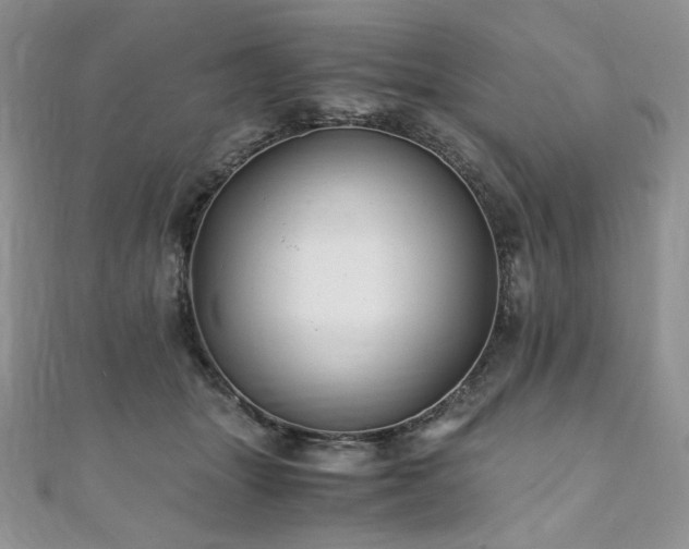 X0000110890463200906181249