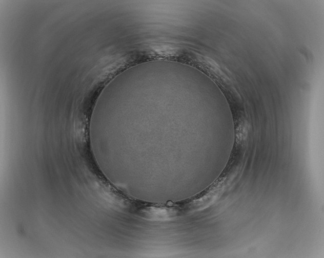 X0000110890464200906181249