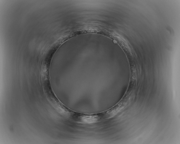 X0000110890465200906181249
