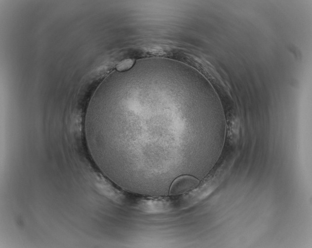 X0000110890466200906181249