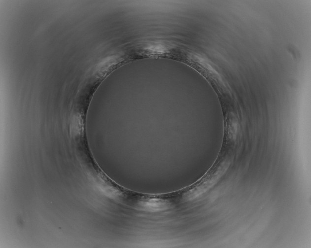X0000110890467200906181249