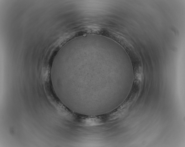 X0000110890468200906181249