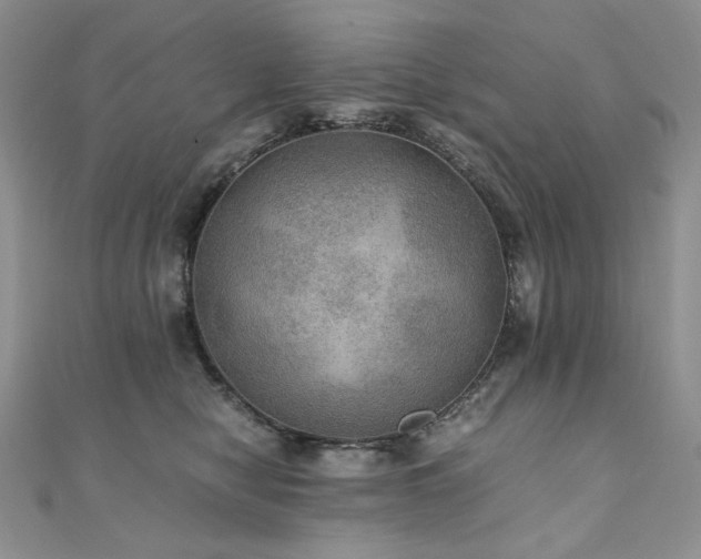 X0000110890470200906181249