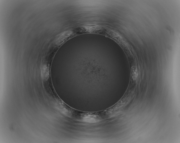 X0000110890471200906181249