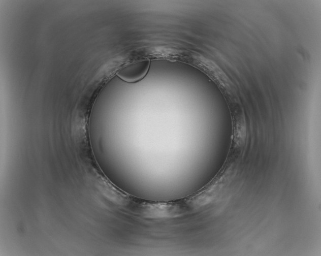 X0000110890473200906181249