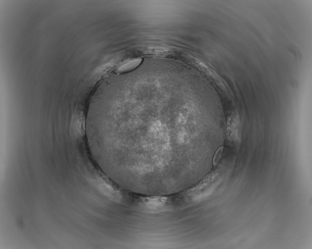 X0000110890474200906181249
