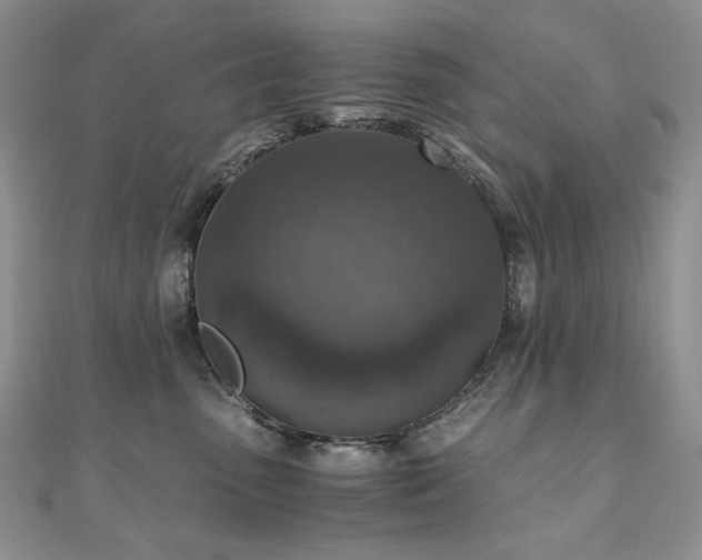 X0000110890475200906181249