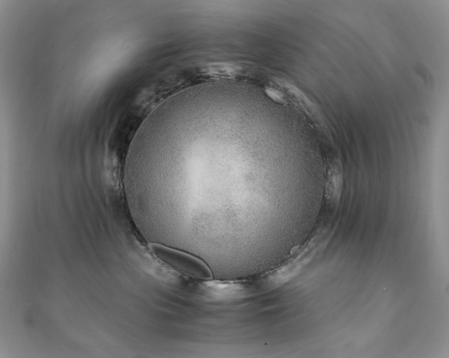 X0000110890477200906181249