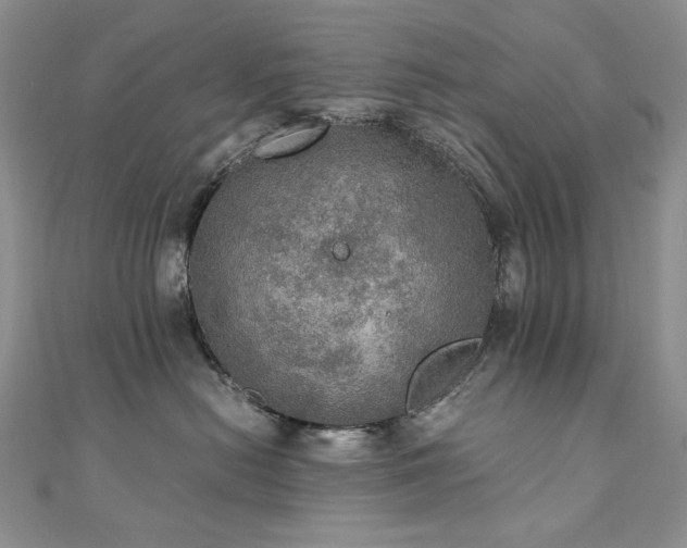 X0000110890478200906181249
