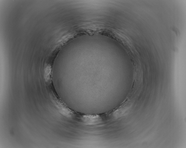 X0000110890480200906181249