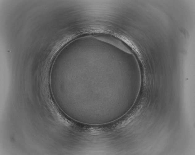 X0000110890481200906181249