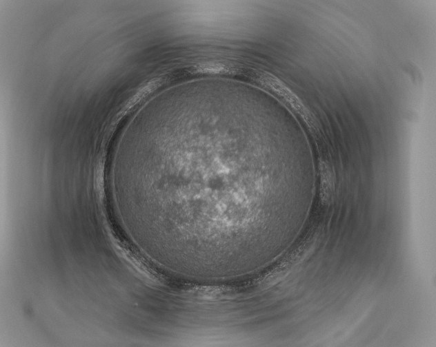 X0000110890482200906181249