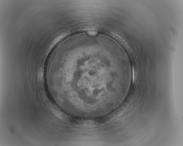 X0000110890483200906181249
