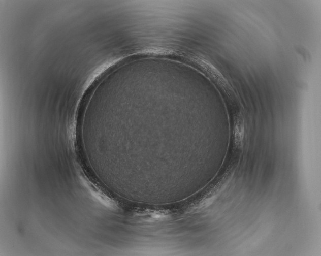 X0000110890484200906181249