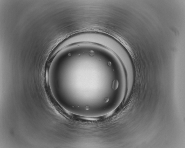 X0000110890485200906181249