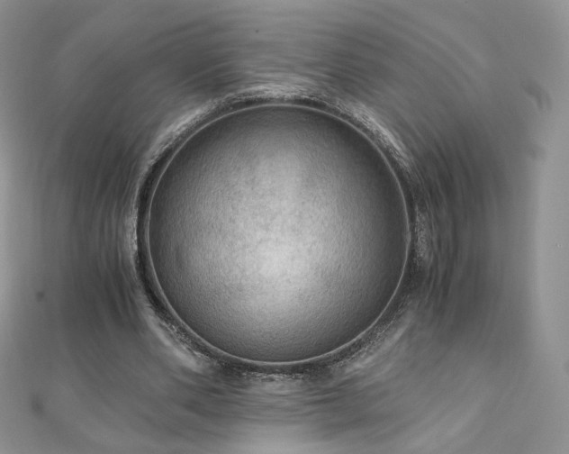 X0000110890486200906181249