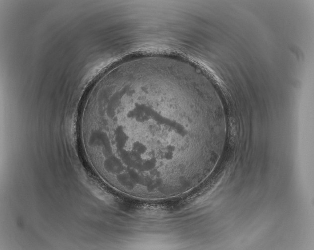 X0000110890487200906181249