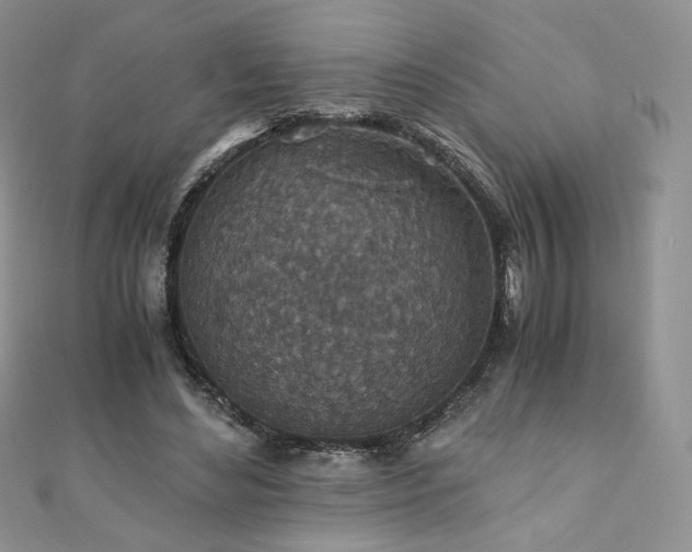X0000110890492200906181249