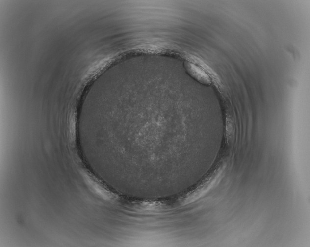 X0000110890493200906181249