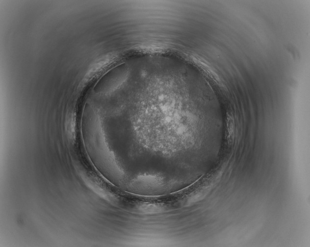 X0000110890494200906181249