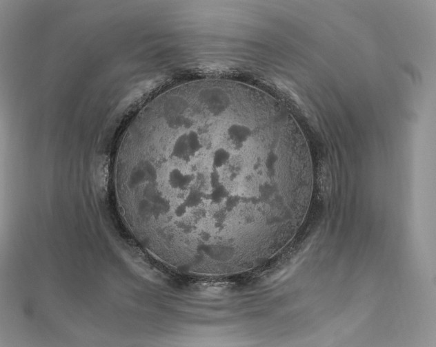 X0000110890495200906181249