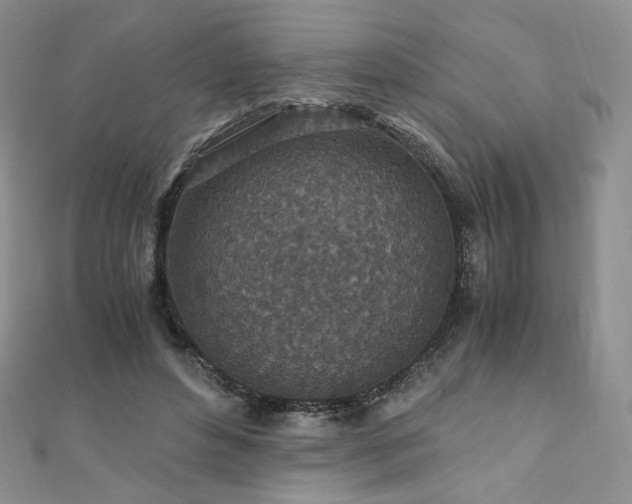 X0000110890496200906181249